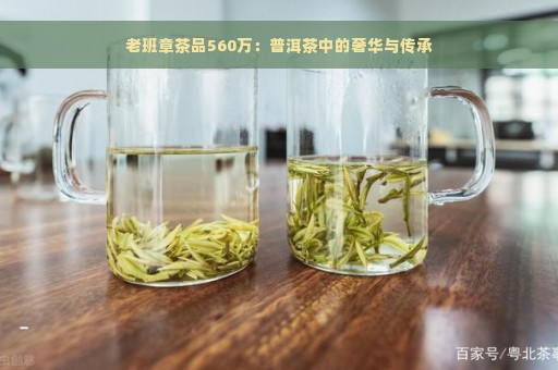 老班章茶品560万：普洱茶中的奢华与传承