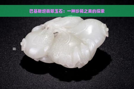 巴基斯坦翡翠玉石：一种珍稀之美的探索