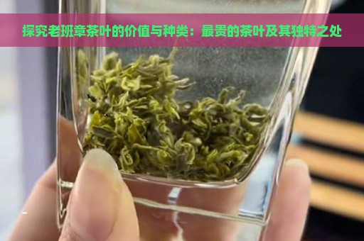 探究老班章茶叶的价值与种类：最贵的茶叶及其独特之处