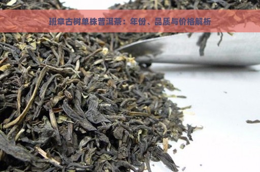 班章古树单株普洱茶：年份、品质与价格解析