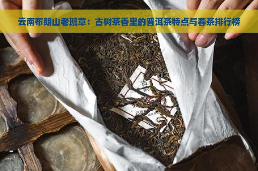 云南布朗山老班章：古树茶香里的普洱茶特点与春茶排行榜