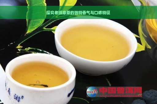 探究老班章茶的独特香气与口感特征