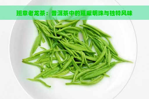 班章老龙茶：普洱茶中的璀璨明珠与独特风味