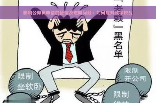 影响公务员申请的征信及逾期问题：如何应对政审挑战