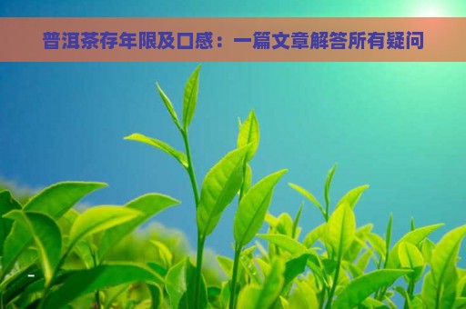 普洱茶存年限及口感：一篇文章解答所有疑问