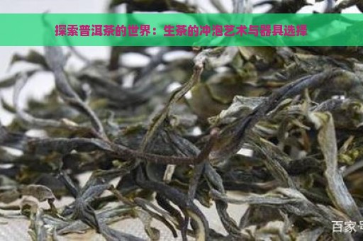 探索普洱茶的世界：生茶的冲泡艺术与器具选择