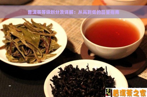 普洱茶等级划分及详解：从高到低的品鉴指南