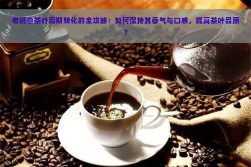 老班章茶叶后期转化的全攻略：如何保持其香气与口感，提高茶叶品质？