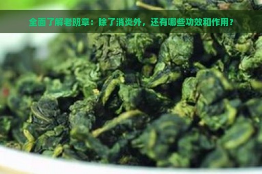 全面了解老班章：除了消炎外，还有哪些功效和作用？