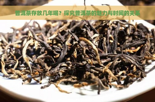 普洱茶存放几年喝？探究普洱茶的魅力与时间的关系