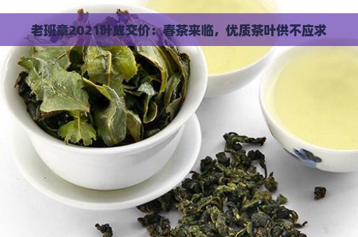 老班章2021叶成交价：春茶来临，优质茶叶供不应求