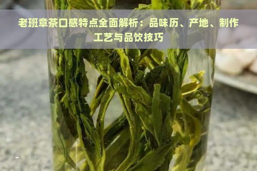 老班章茶口感特点全面解析：品味历、产地、制作工艺与品饮技巧