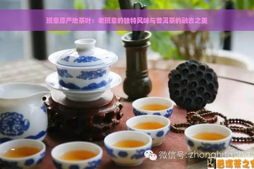 班章原产地茶叶：老班章的独特风味与普洱茶的融合之美