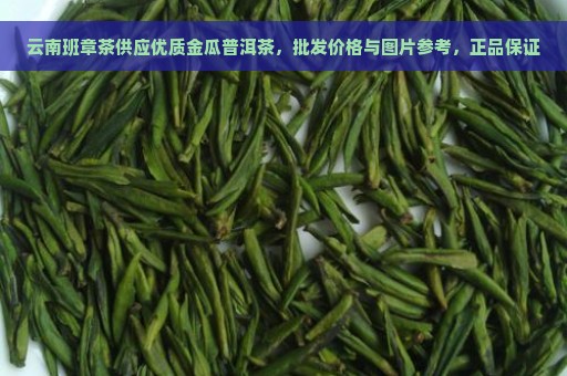 云南班章茶供应优质金瓜普洱茶，批发价格与图片参考，正品保证