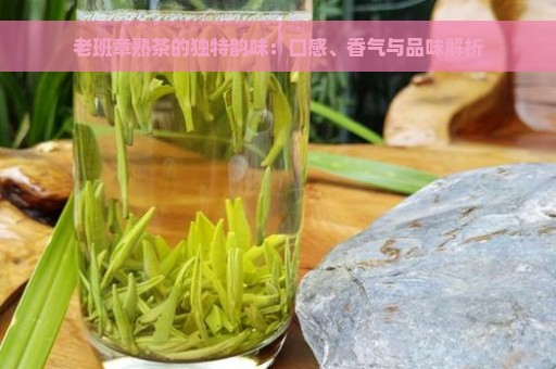 老班章熟茶的独特韵味：口感、香气与品味解析