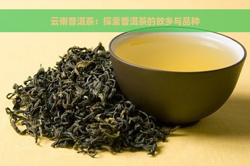 云南普洱茶：探索普洱茶的故乡与品种