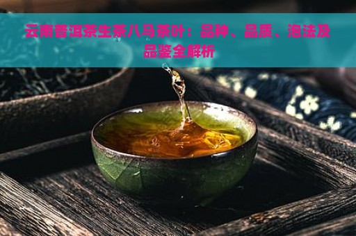 云南普洱茶生茶八马茶叶：品种、品质、泡法及品鉴全解析