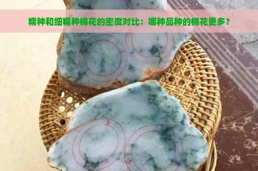 糯种和细糯种棉花的密度对比：哪种品种的棉花更多？