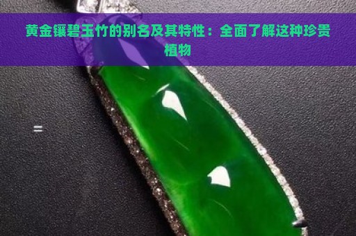 黄金镶碧玉竹的别名及其特性：全面了解这种珍贵植物