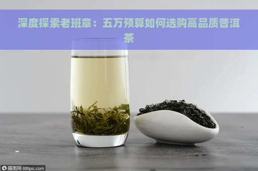 深度探索老班章：五万预算如何选购高品质普洱茶