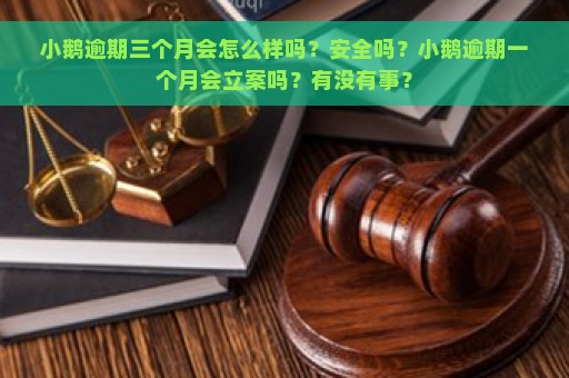 小鹅逾期三个月会怎么样吗？安全吗？小鹅逾期一个月会立案吗？有没有事？