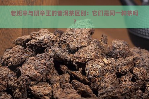 老班章与班章王的普洱茶区别：它们是同一种茶吗？