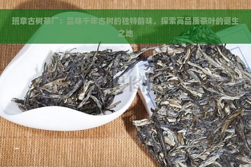 班章古树茶厂：品味千年古树的独特韵味，探索高品质茶叶的诞生之地