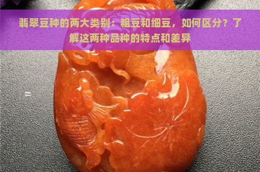 翡翠豆种的两大类别：粗豆和细豆，如何区分？了解这两种品种的特点和差异