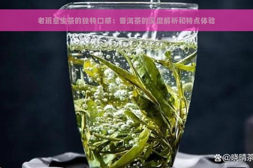 老班章生茶的独特口感：普洱茶的深度解析和特点体验