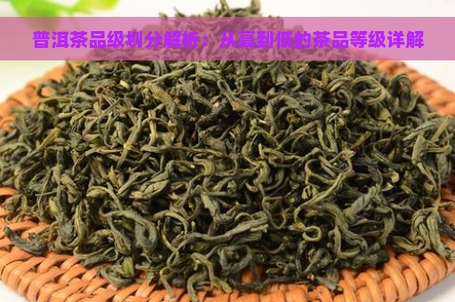 普洱茶品级划分解析：从高到低的茶品等级详解