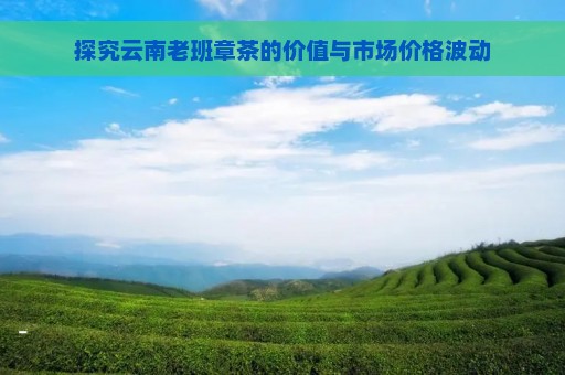 探究云南老班章茶的价值与市场价格波动