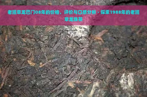 老班章龙巴门08年的价格，评价与口感分析 - 探索1988年的老班章龙珠茶