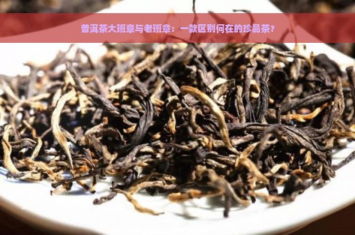 普洱茶大班章与老班章：一款区别何在的珍品茶？