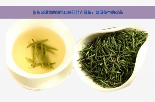 陈年老班章的独特口感和特点解析：普洱茶中的珍品