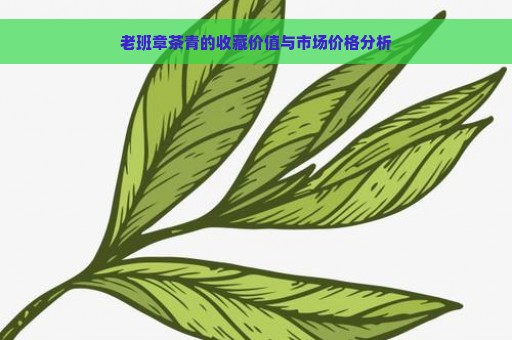 老班章茶青的收藏价值与市场价格分析