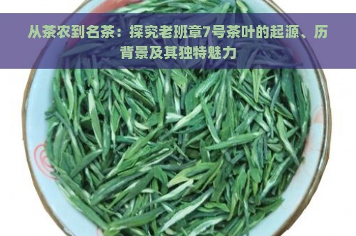 从茶农到名茶：探究老班章7号茶叶的起源、历背景及其独特魅力