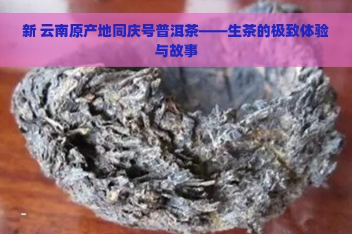 新 云南原产地同庆号普洱茶——生茶的极致体验与故事