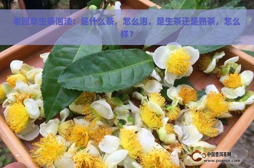 老班章生茶泡法：是什么茶，怎么泡，是生茶还是熟茶，怎么样？