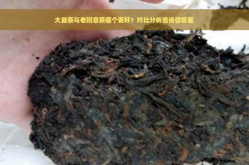 大益茶与老班章茶哪个更好？对比分析告诉你答案