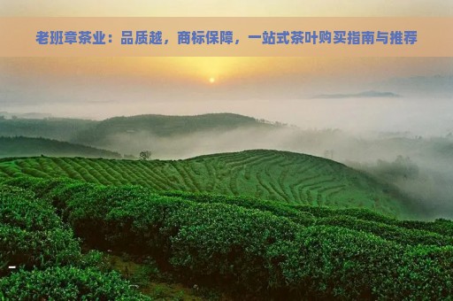 老班章茶业：品质越，商标保障，一站式茶叶购买指南与推荐