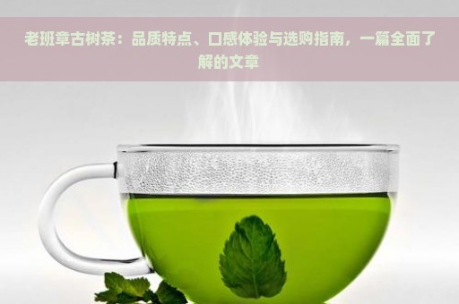 老班章古树茶：品质特点、口感体验与选购指南，一篇全面了解的文章