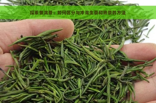 探索普洱茶：如何区分与冲泡生茶和熟茶的方法