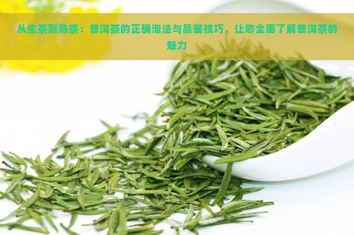 从生茶到熟茶：普洱茶的正确泡法与品鉴技巧，让您全面了解普洱茶的魅力