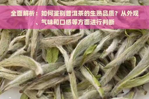 全面解析：如何鉴别普洱茶的生熟品质？从外观、气味和口感等方面进行判断