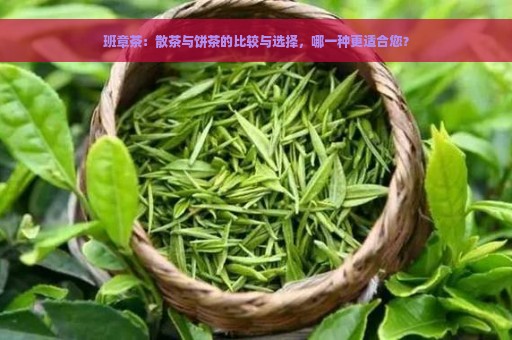 班章茶：散茶与饼茶的比较与选择，哪一种更适合您？