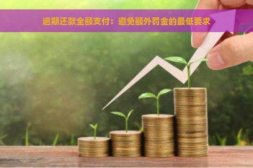 逾期还款全额支付：避免额外罚金的最低要求