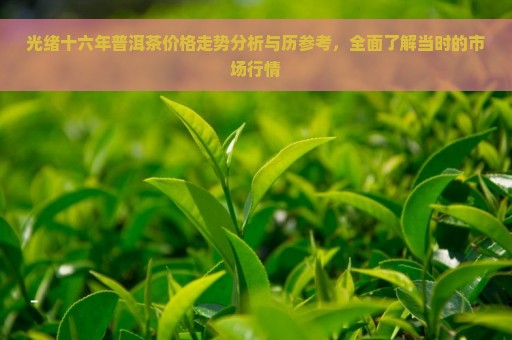 光绪十六年普洱茶价格走势分析与历参考，全面了解当时的市场行情