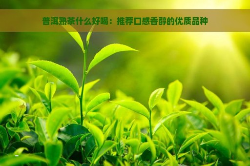 普洱熟茶什么好喝：推荐口感香醇的优质品种