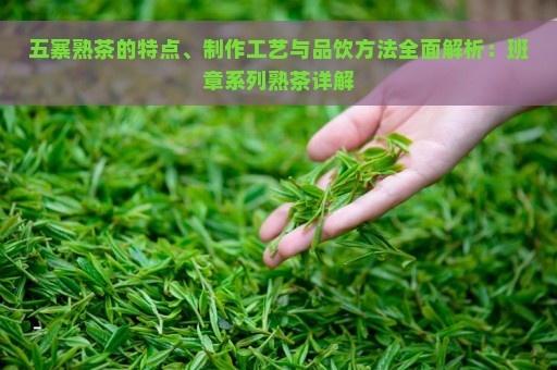 五寨熟茶的特点、制作工艺与品饮方法全面解析：班章系列熟茶详解