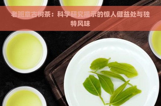 老班章古树茶：科学研究揭示的惊人健益处与独特风味